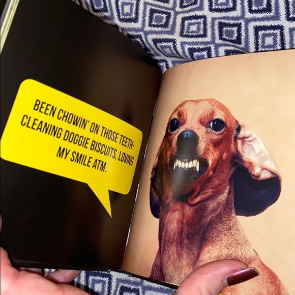 (CLOSET CLOSING FINAL SALE) Dog Selfies book by Charlie Ellis - Picture 4 of 5